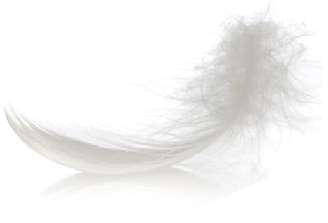 down duvet - down and feather
